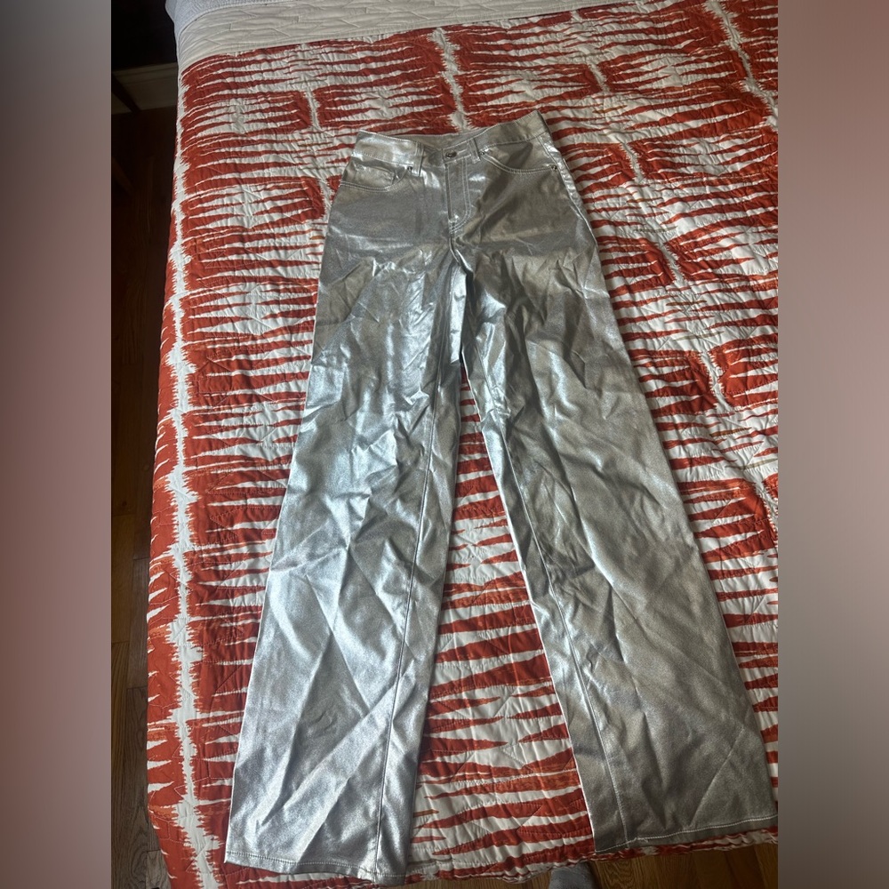 Metallic silver pants